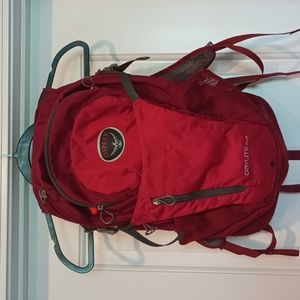 Osprey daylight plus backpack